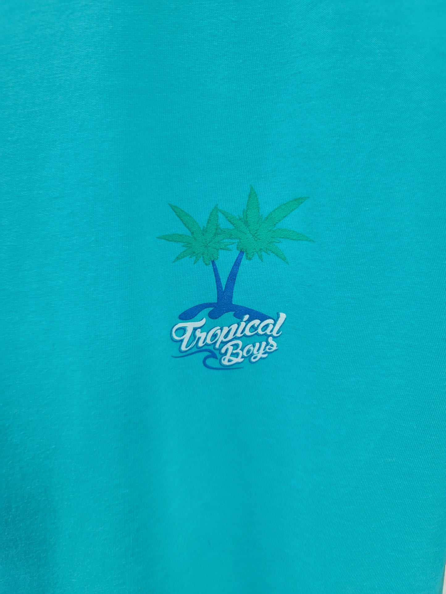 Tropical Boys Shirt Blue Large